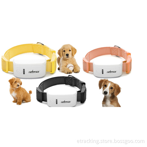 Tk-Star Pet GPS Tracker Free Web Platfrom Real Time Tracking GPS Tracker for Cats /Dogs /Animal with Collar